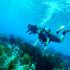 Leren duiken op Curaçao