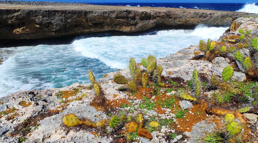 De kust van Curaçao