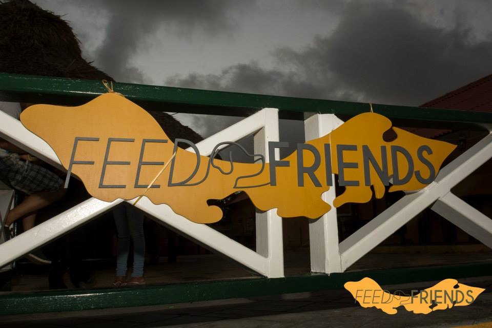 Feed Friends Foundation zwerfhonden voeren op Curaçao