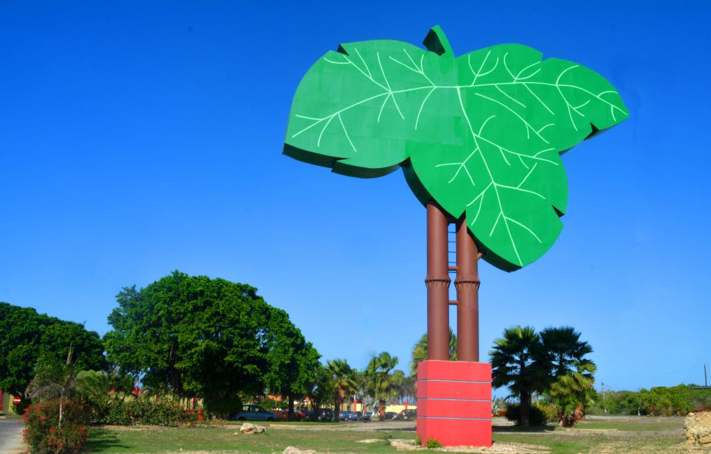 Campo vraagt mogelijk faillissement aan