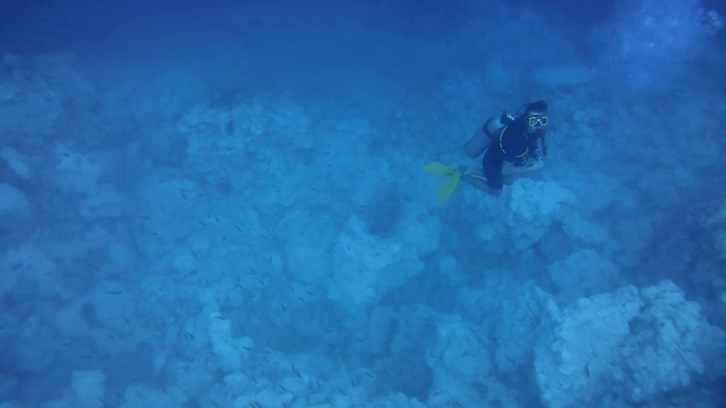 Olieplatform verbrijzelt Curaçaos koraalrif – daarna werd het stil