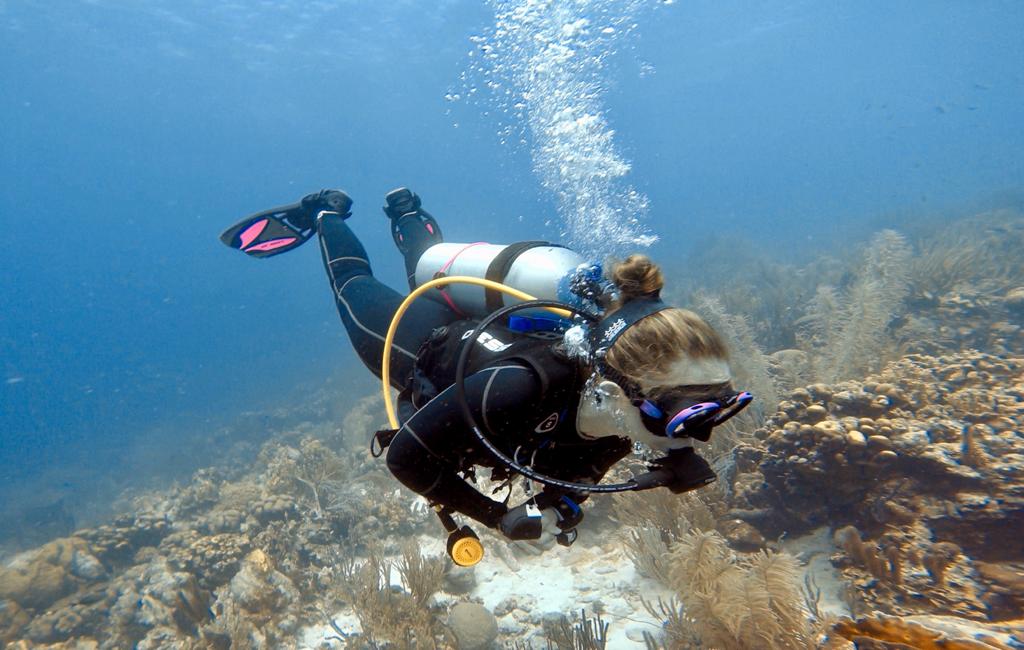 Leren duiken op Curaçao
