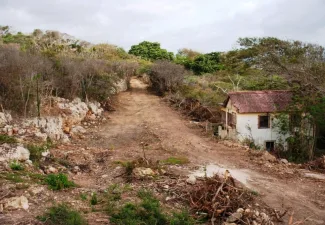 ‘Curaçao Airport Holding blijft historisch gebied Hato vernielen ondanks sommatie Cooper’